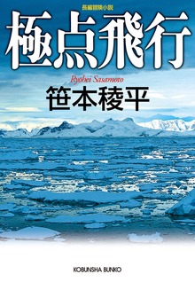極点飛行