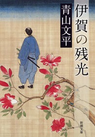 伊賀の残光