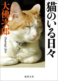 猫のいる日々