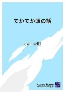 てかてか頭の話