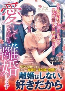 愛しているから離婚します～姉の身代わりで嫁いだ若奥様を、年の差弁護士は独占欲で逃がさない～