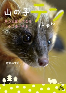 山の子テンちゃん 空から落ちてきた小さないのち