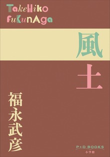 P+D BOOKS 風土