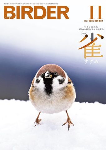BIRDER2025年11月号