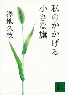私のかかげる小さな旗