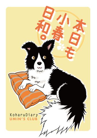 本日も小春日和。