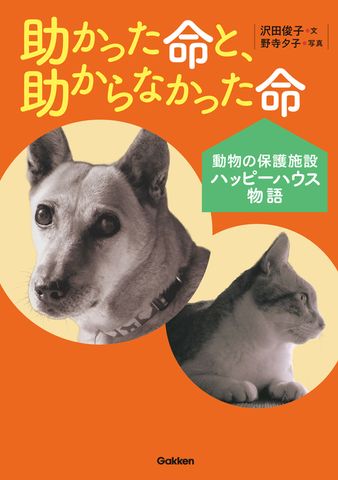 助かった命と、助からなかった命　動物の保護施設ハッピーハウス物語