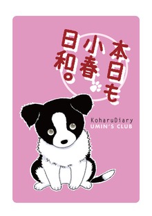 本日も小春日和
