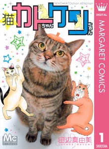 猫☆カトちゃんケンちゃん