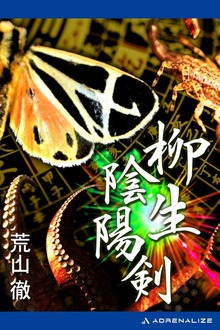 柳生陰陽剣