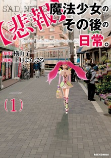 【悲報】魔法少女のその後の日常。