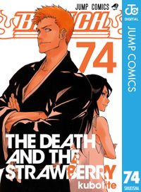 BLEACH モノクロ版 74