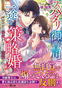スパダリ御曹司の一途な策略婚～甘すぎる秘夜からずっと寵愛されています～