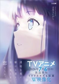 「透明な夜に駆ける君と、目に見えない恋をした。」シリーズ（ＧＡ文庫）