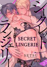 Secret Lingerie (3)